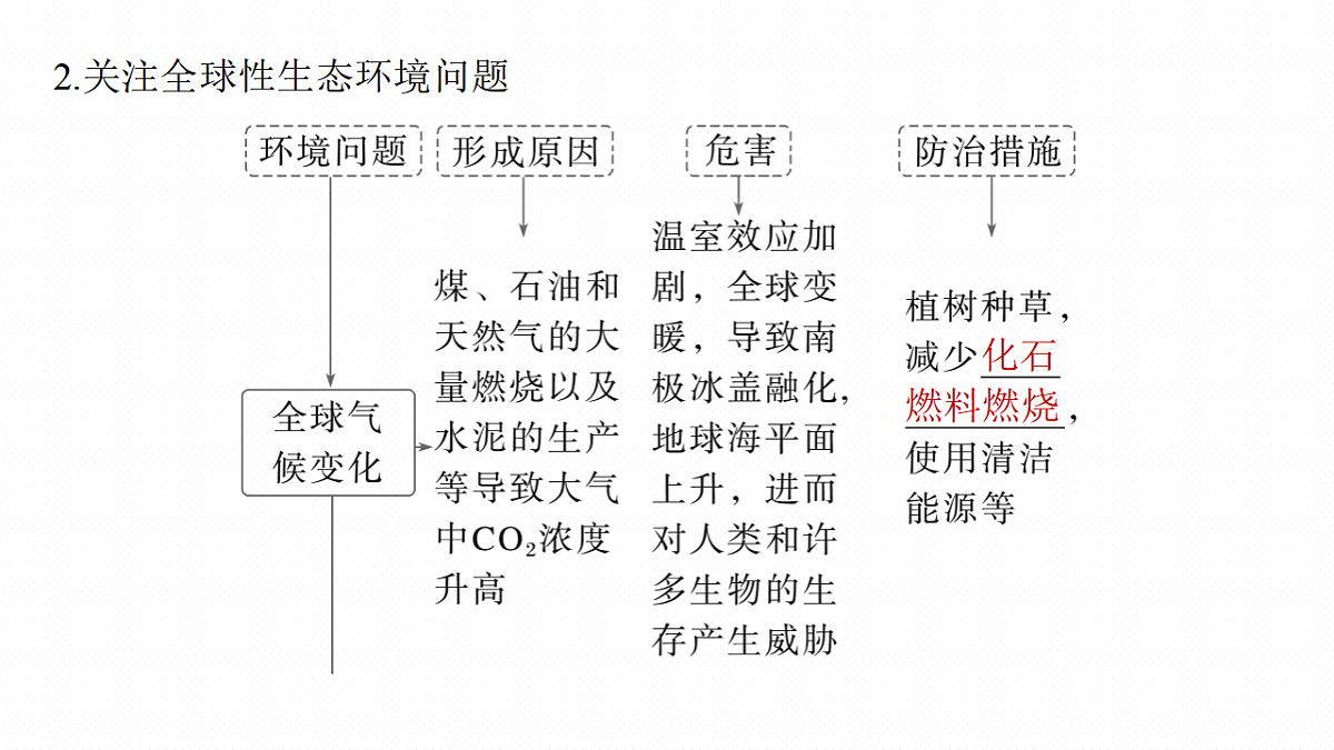 17268744第8页