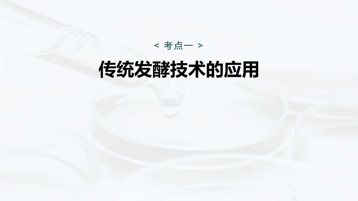 17268745第5页