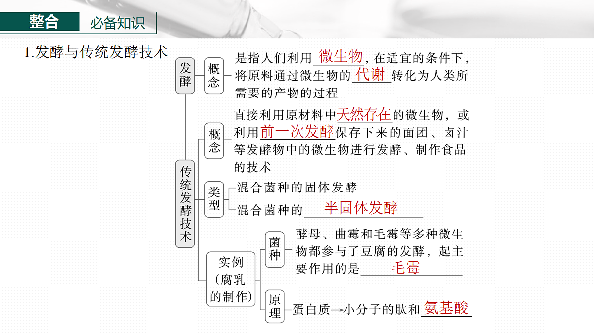 17268745第6页