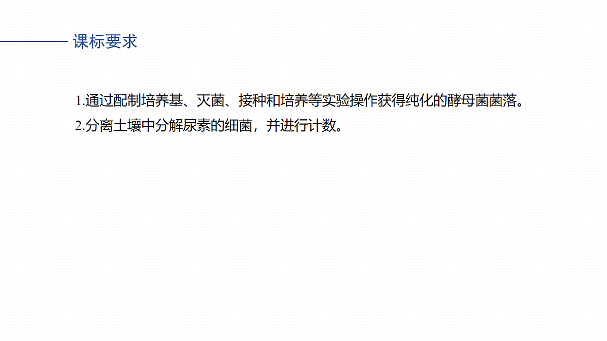 17268746第2页