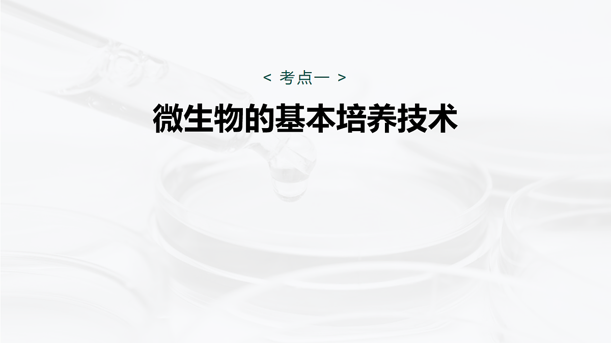17268746第5页