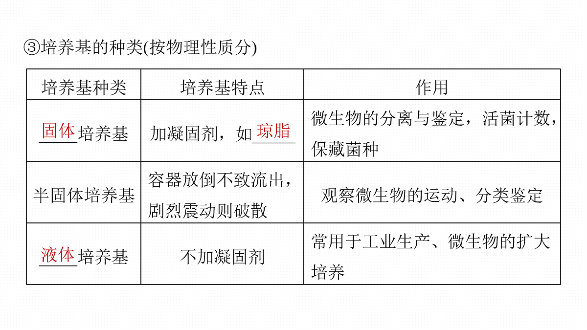 17268746第7页