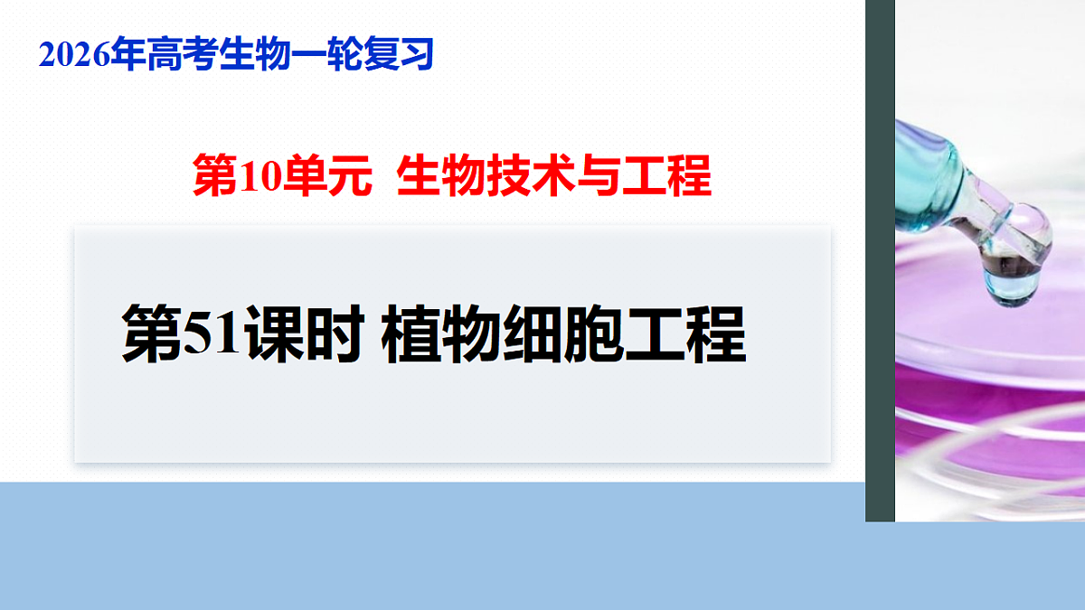 17268747第1页