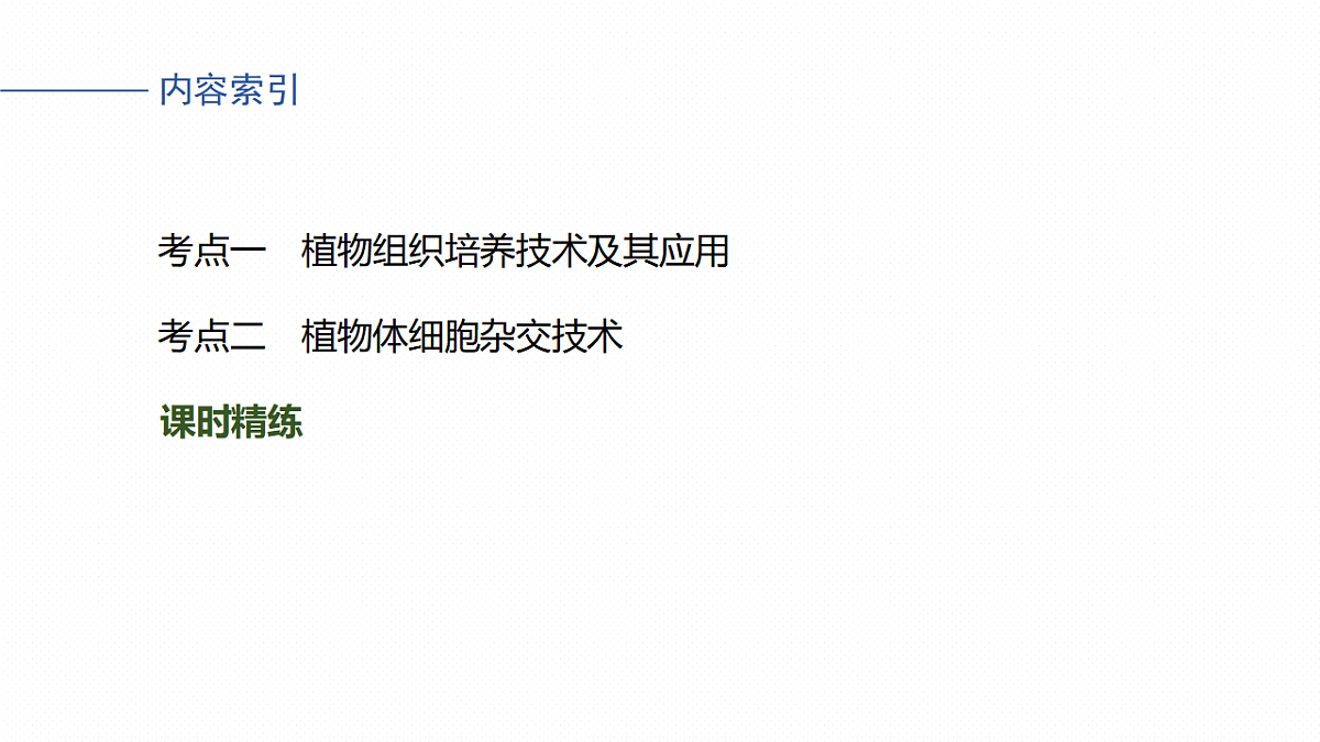 17268747第4页