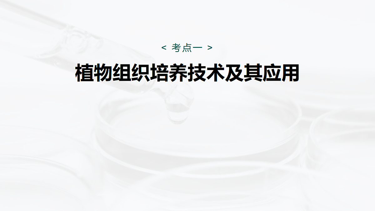 17268747第5页