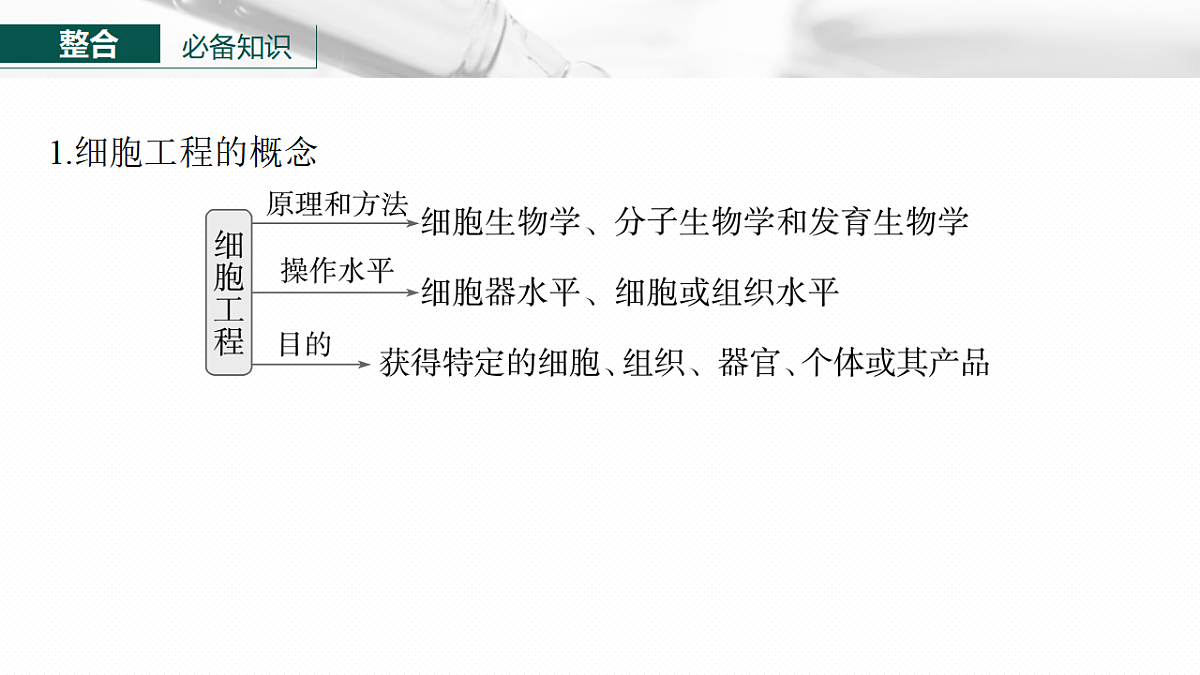 17268747第6页