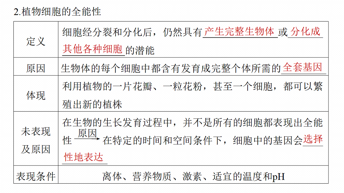 17268747第7页