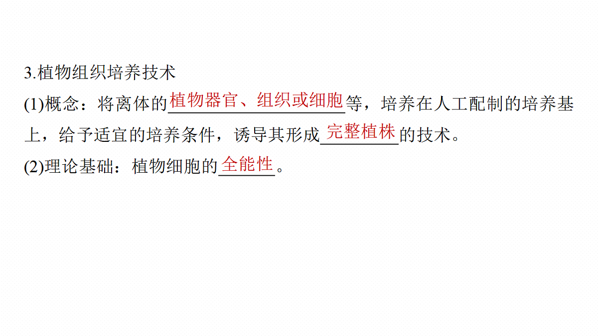 17268747第8页