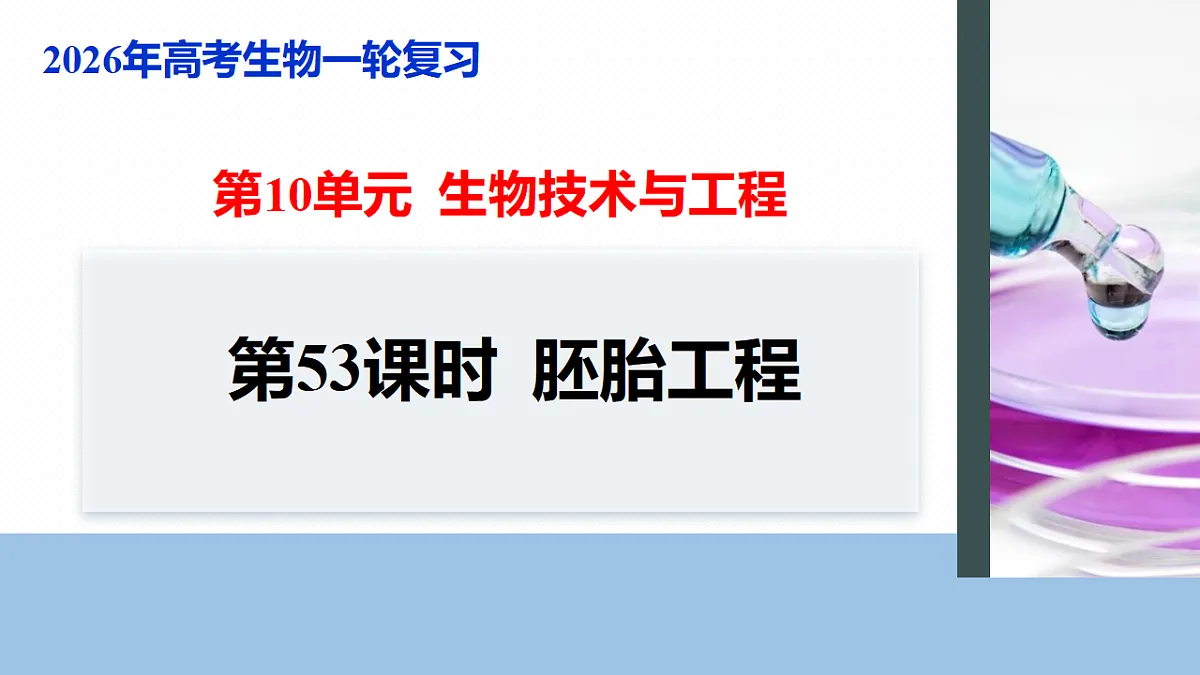 17268749第1页