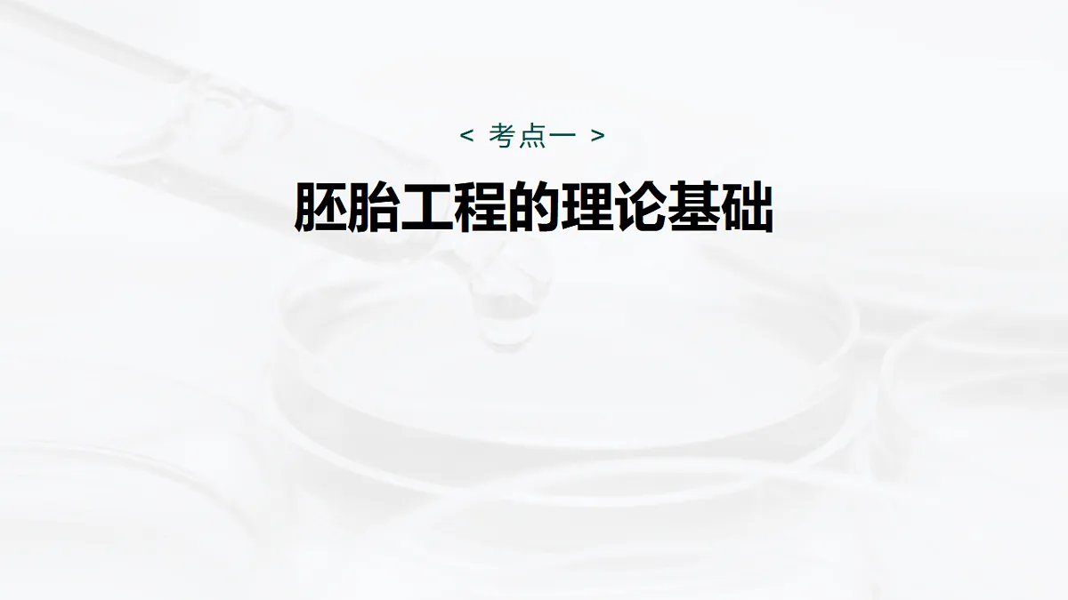 17268749第5页