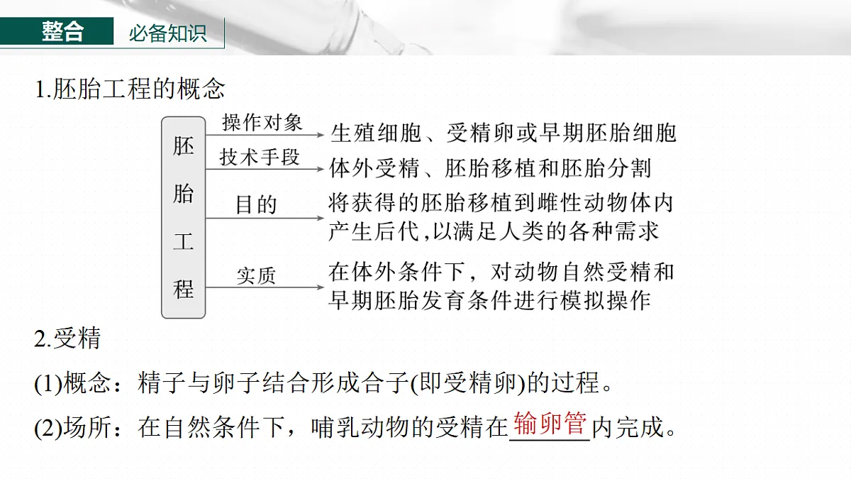 17268749第6页