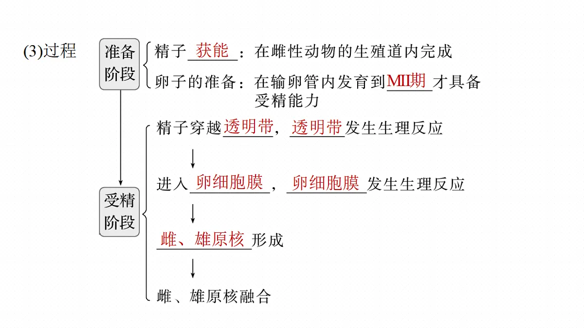17268749第7页