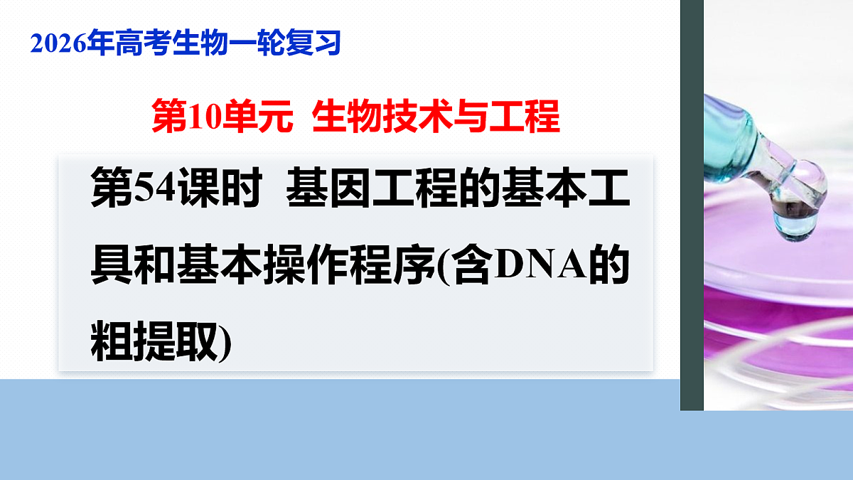 17268750第1页