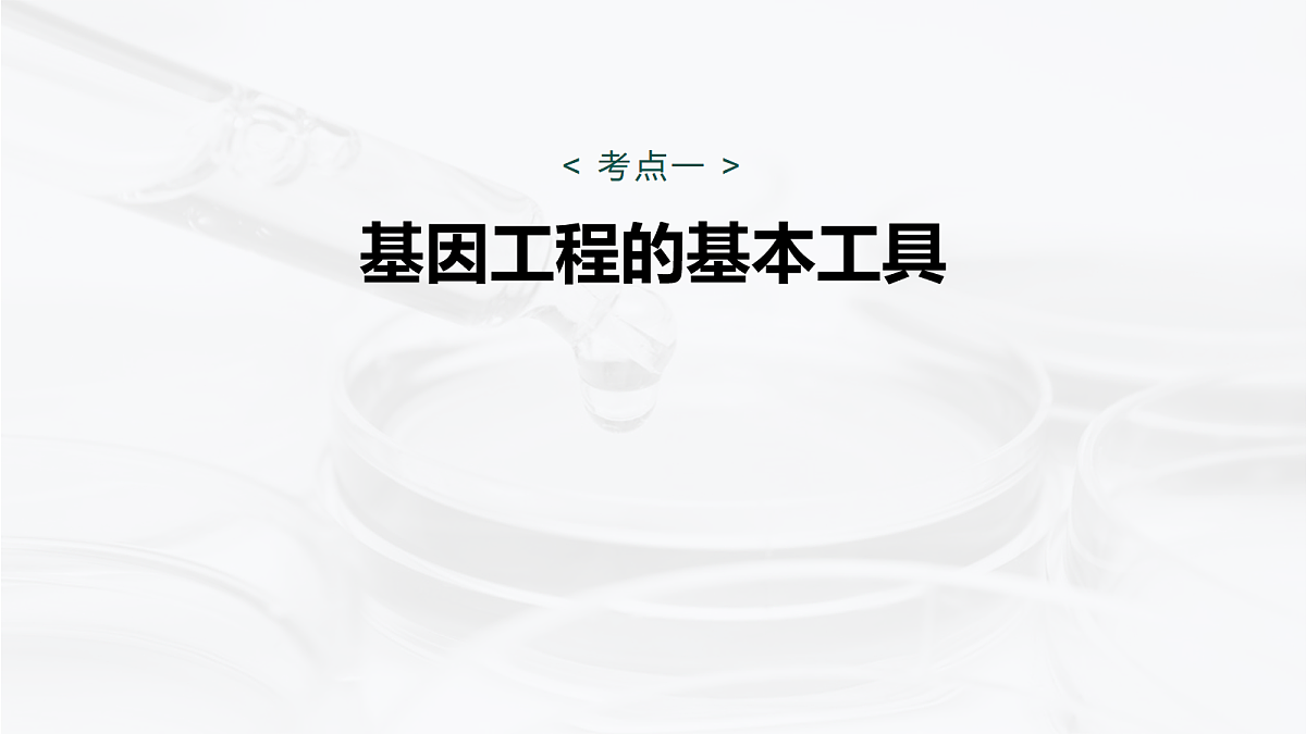 17268750第5页