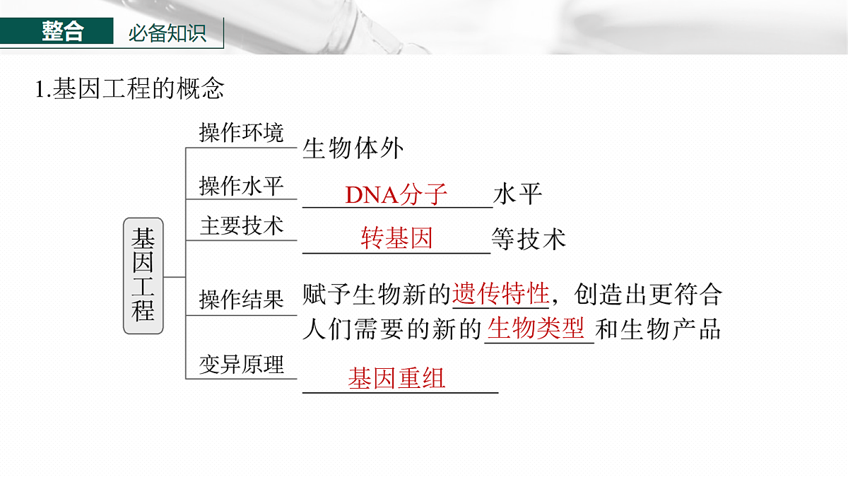 17268750第6页