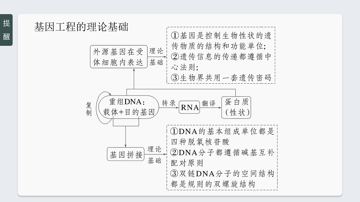 17268750第7页