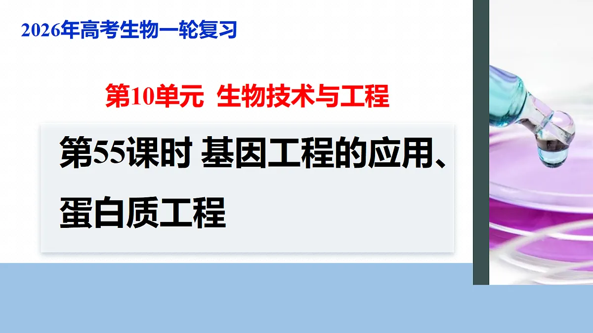 17268751第1页