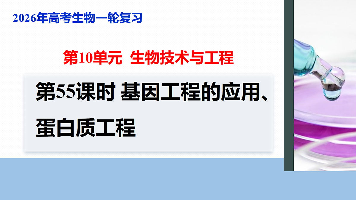 17268751第1页