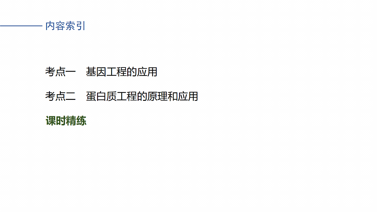 17268751第4页