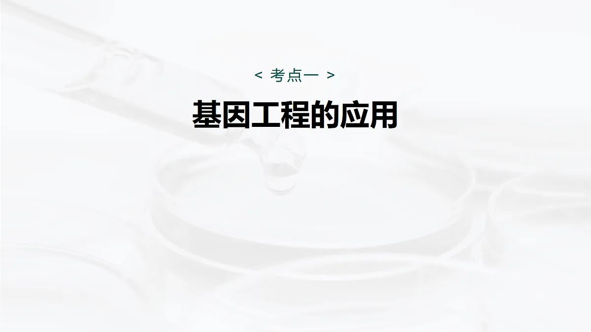 17268751第5页