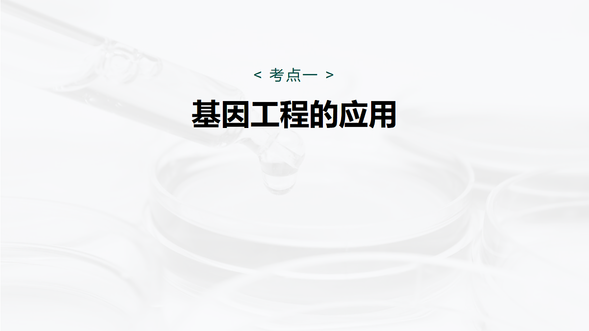 17268751第5页