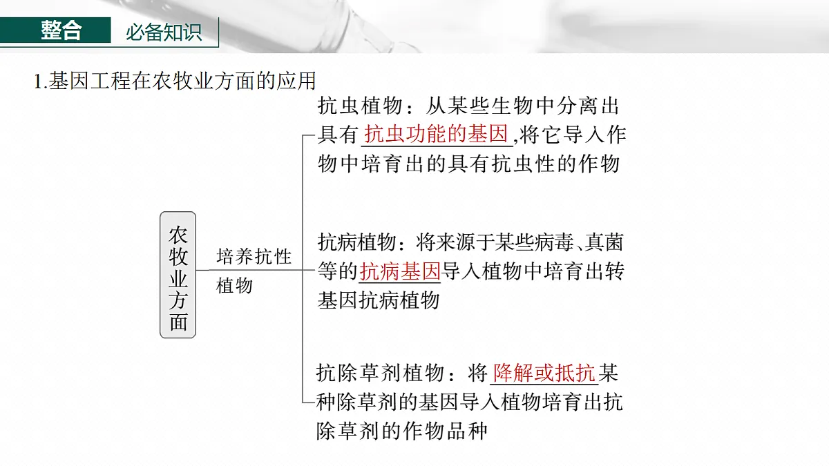 17268751第6页