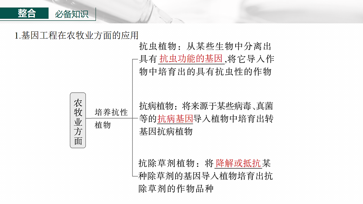 17268751第6页