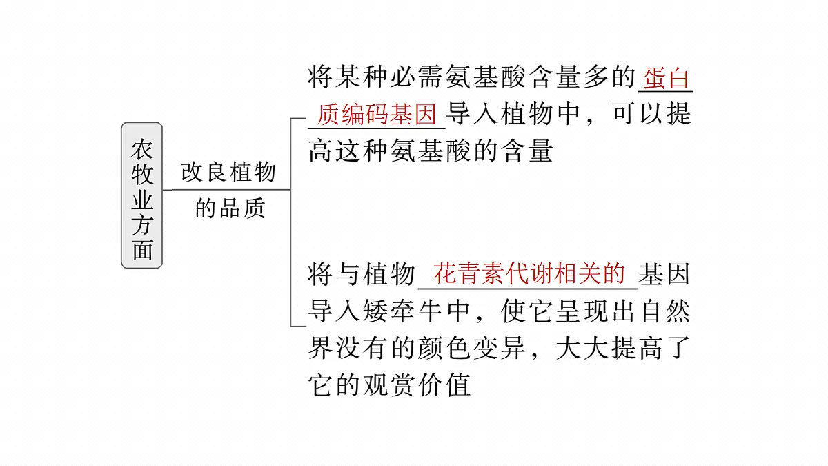 17268751第7页