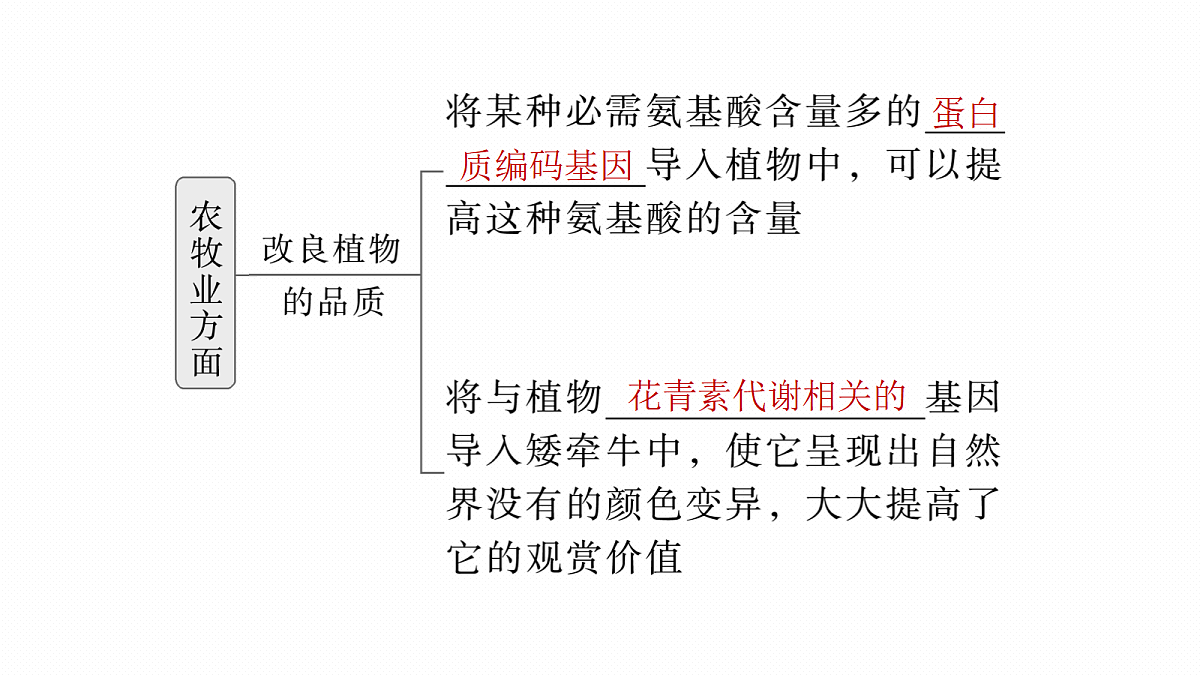17268751第7页