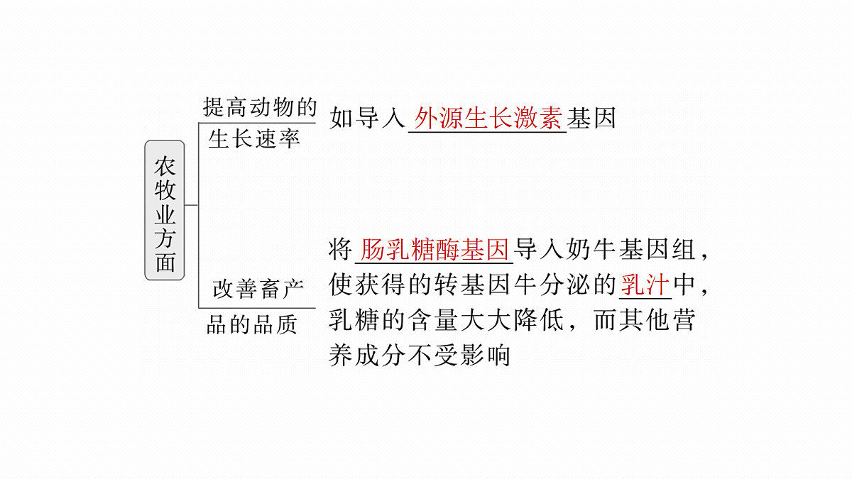 17268751第8页