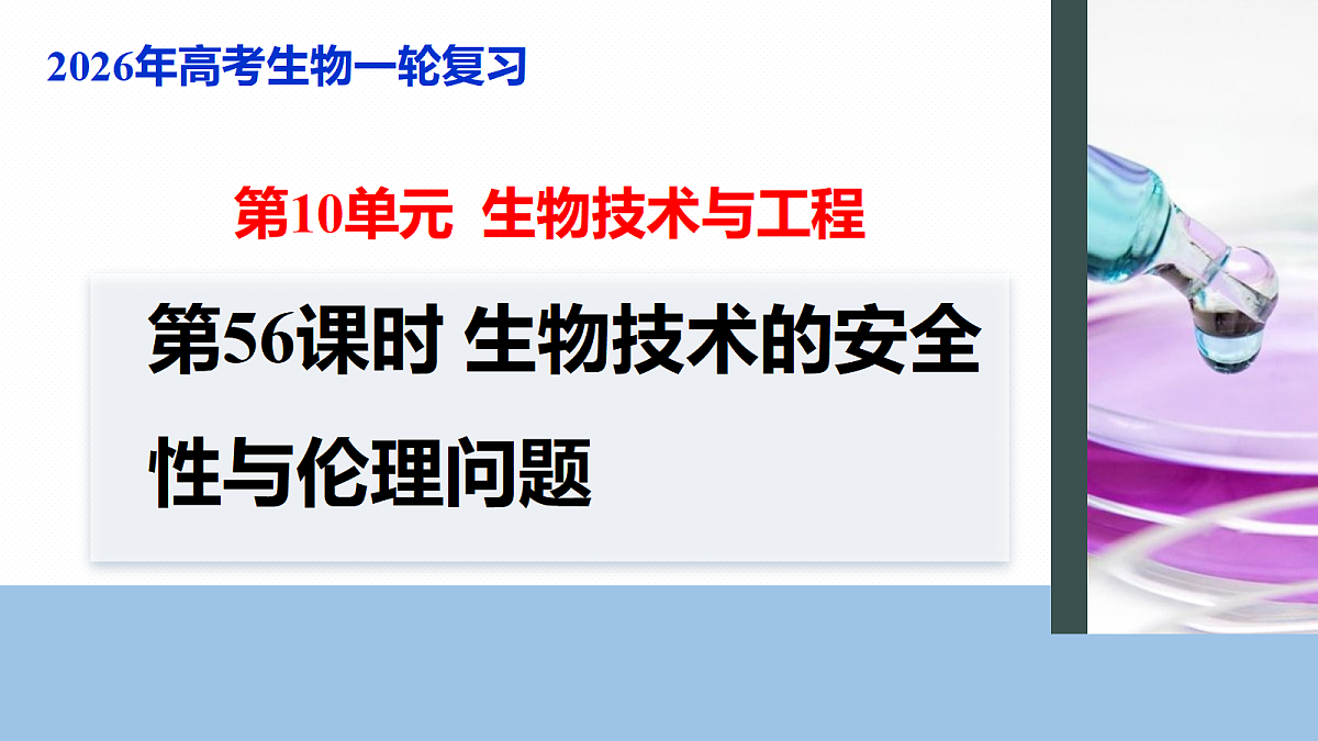 17268752第1页