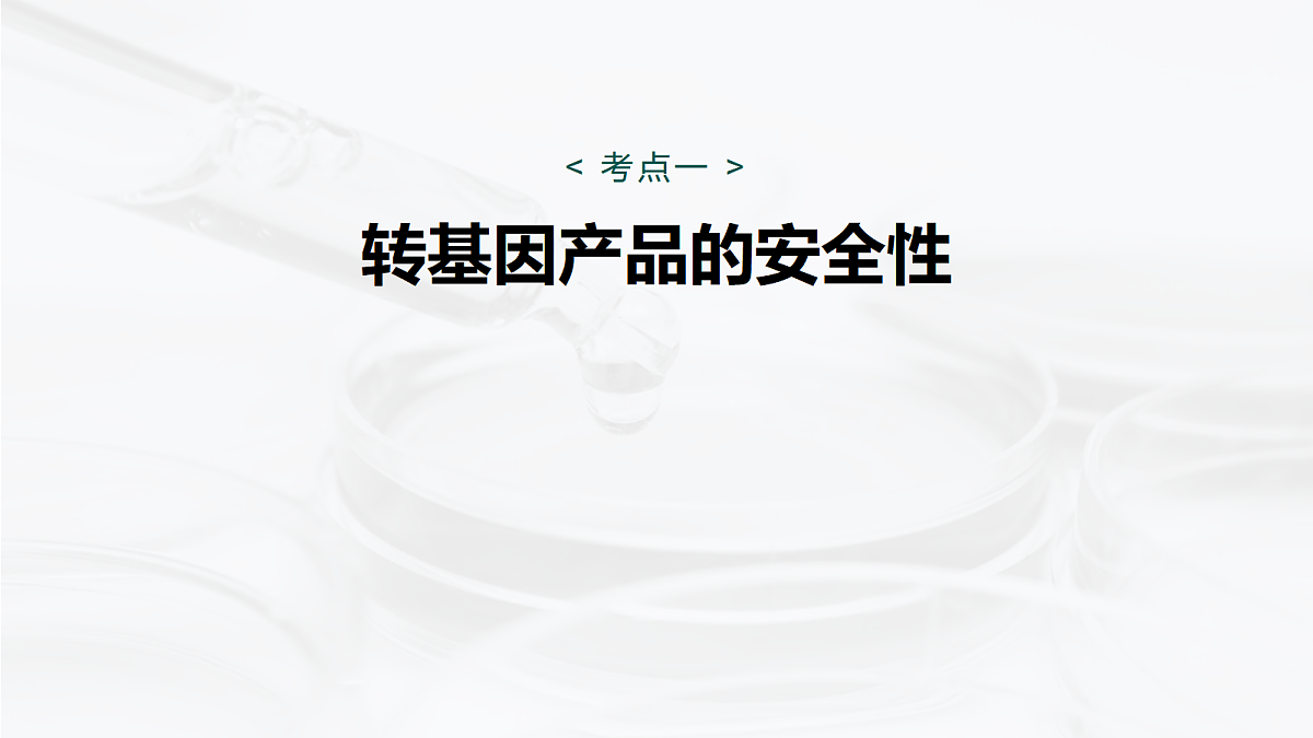 17268752第5页