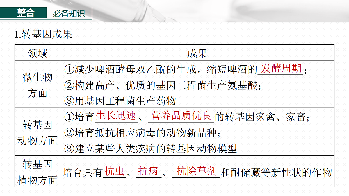 17268752第6页