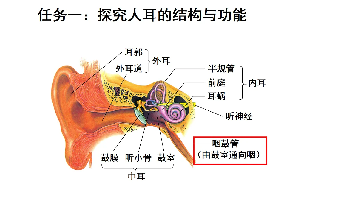17268963第5页