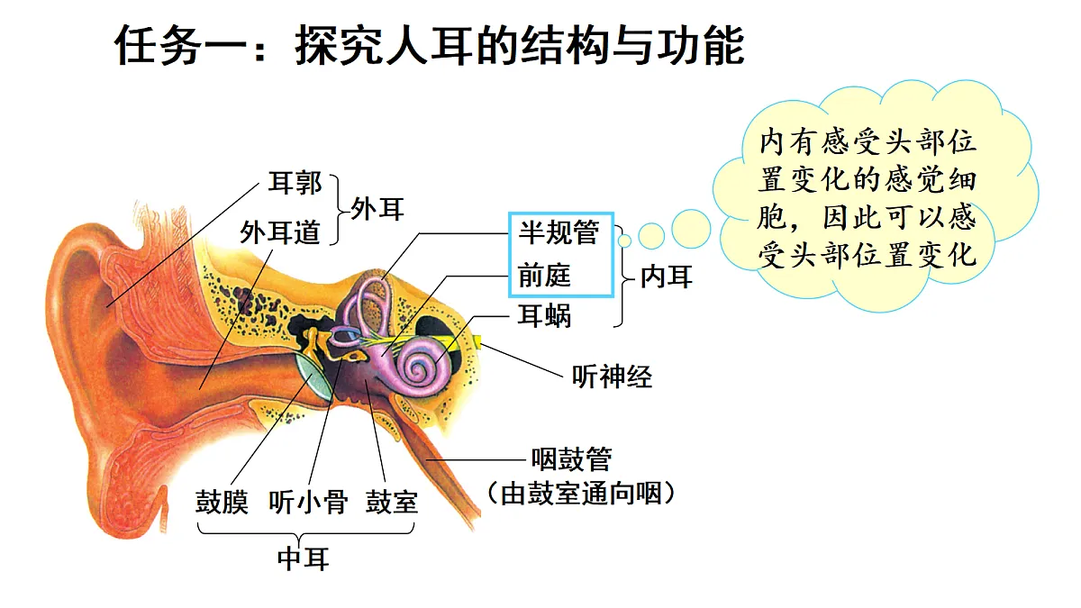 17268963第8页