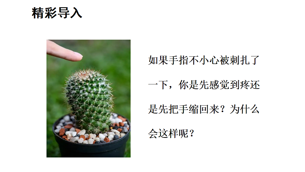 17268964第2页
