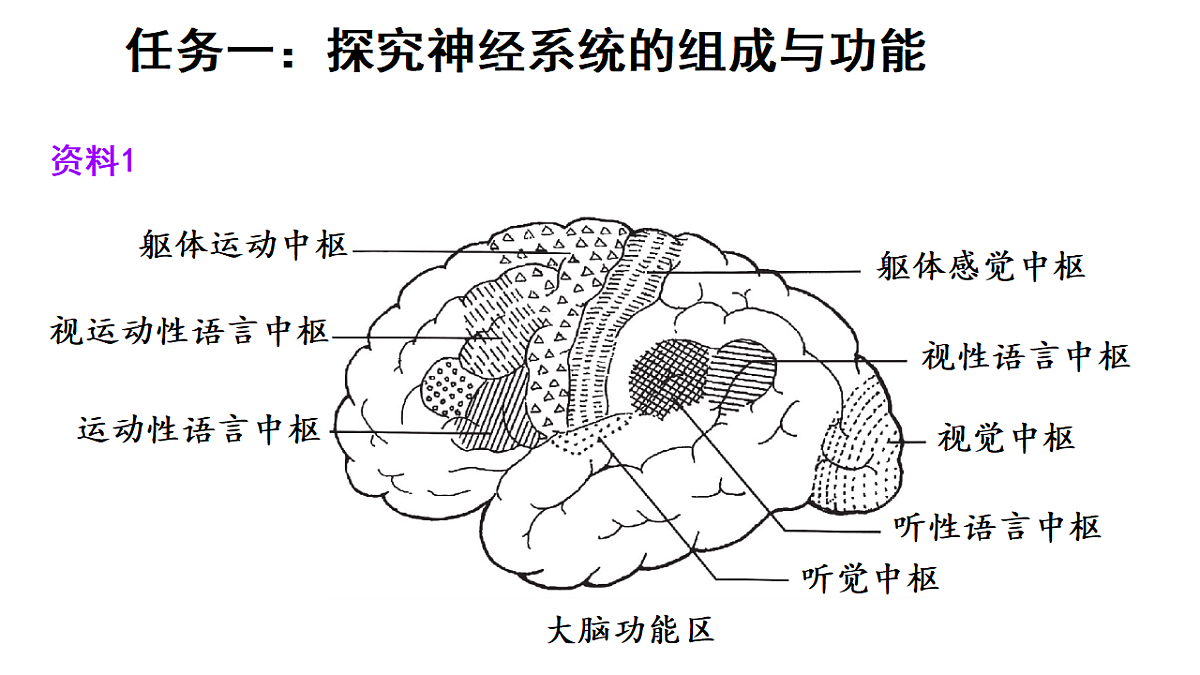 17268964第5页