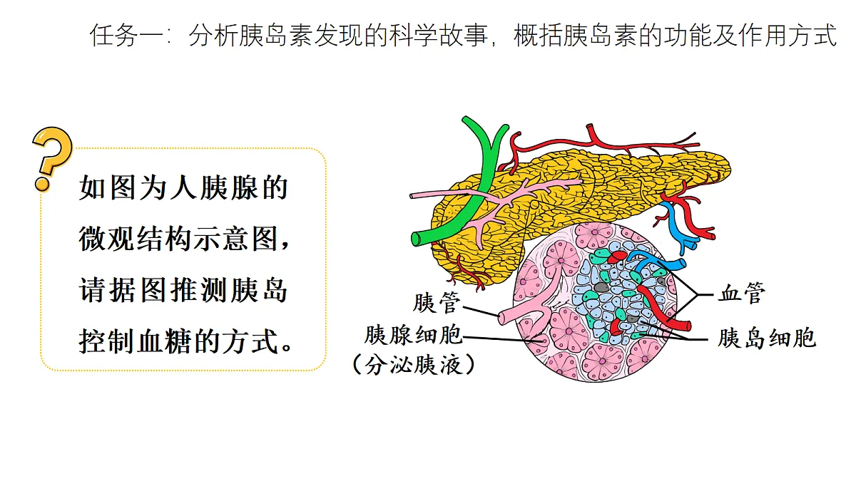 17268967第4页
