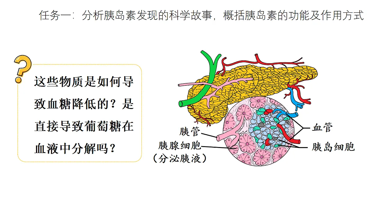 17268967第5页
