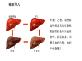 4.7.1 传染病及其预防（课件）-2025-2026学年人教版（2024）生物八年级上册