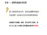 4.7.1 传染病及其预防（课件）-2025-2026学年人教版（2024）生物八年级上册