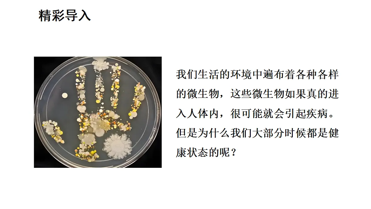 17268969第2页