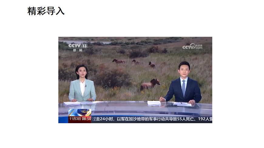 17268972第2页