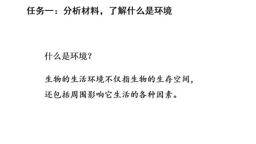 17268972第4页