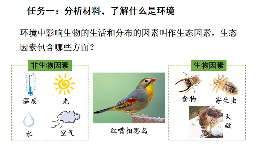 17268972第5页