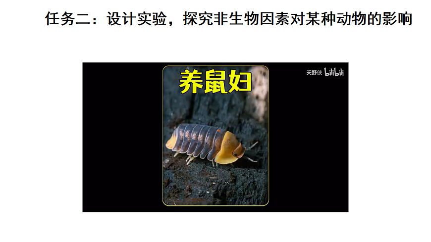 17268972第8页