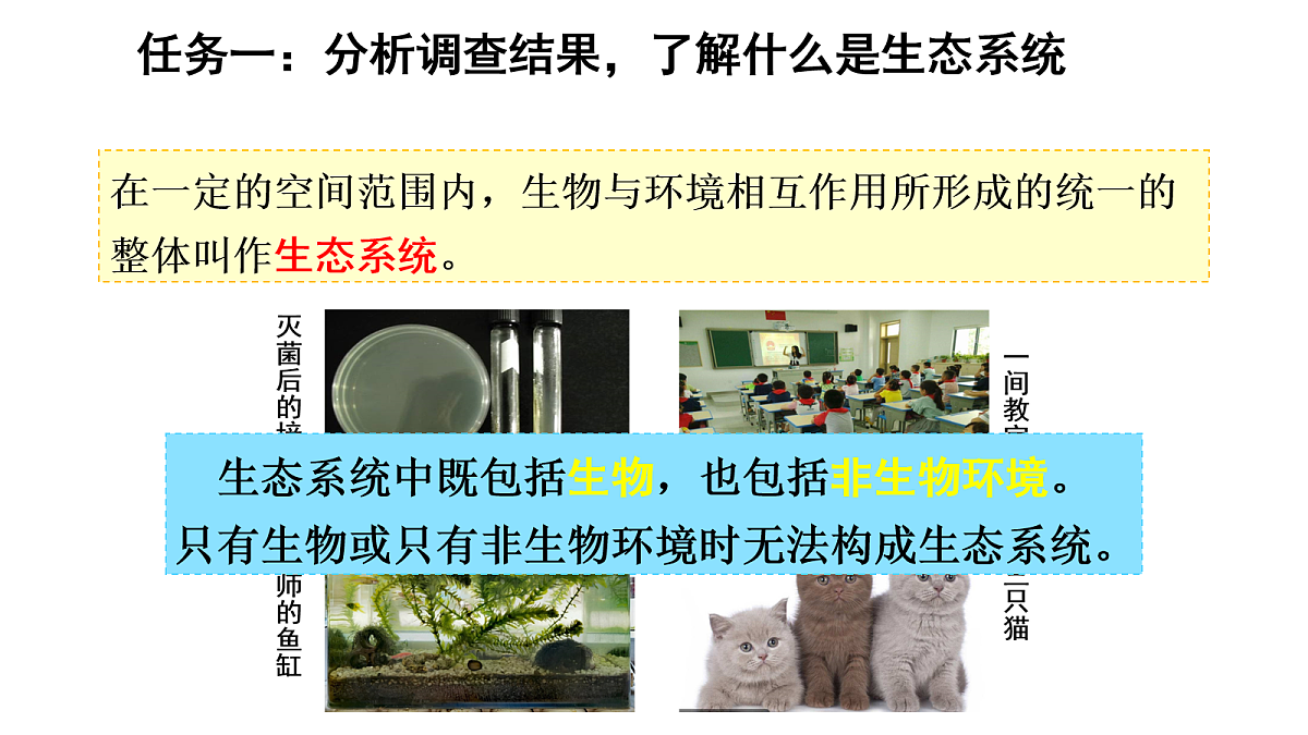 17268974第4页