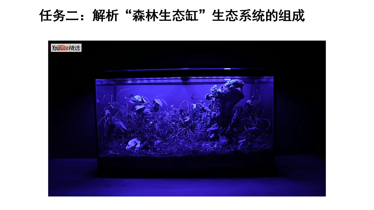 17268974第6页