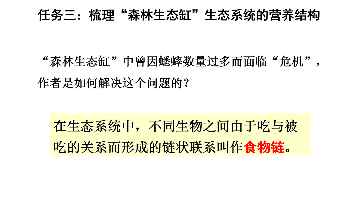 17268974第8页