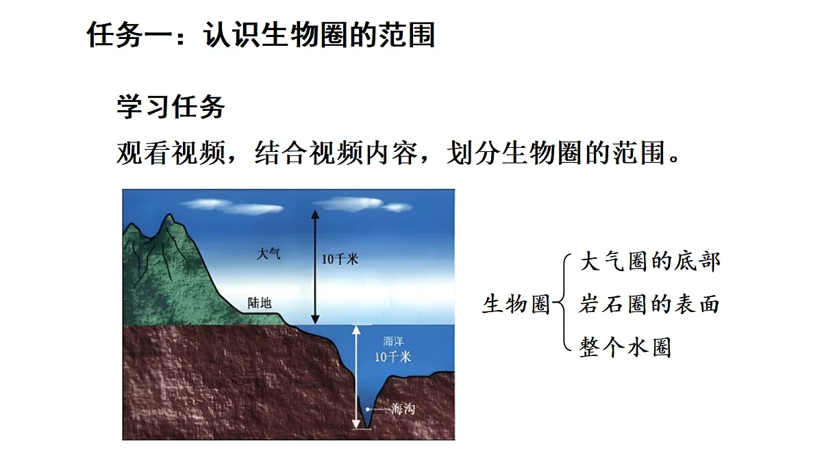 17268975第3页